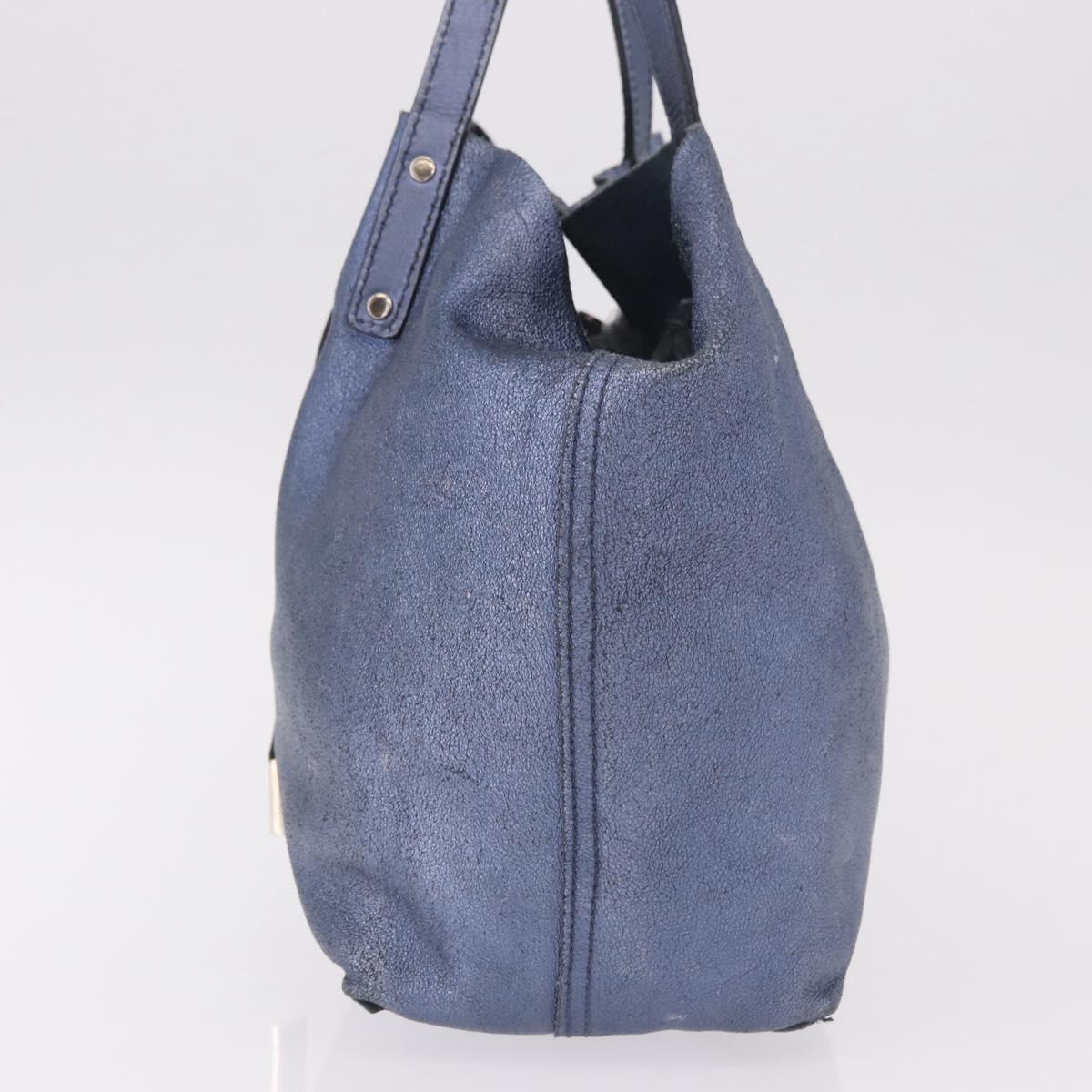TIFFANY&Co. Reversible Hand Bag Suede Leather Blue Auth 189384