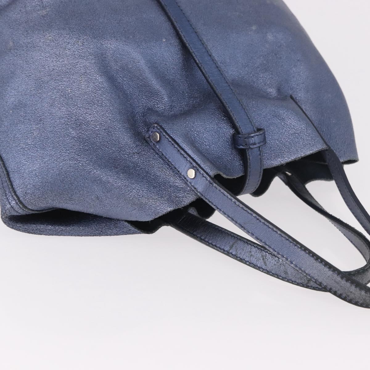 TIFFANY&Co. Reversible Hand Bag Suede Leather Blue Auth 189384