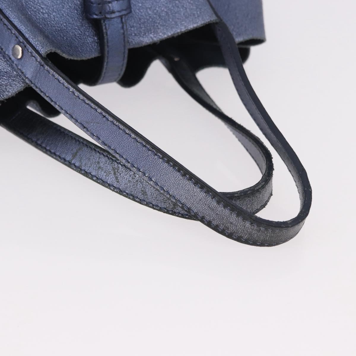 TIFFANY&Co. Reversible Hand Bag Suede Leather Blue Auth 189384