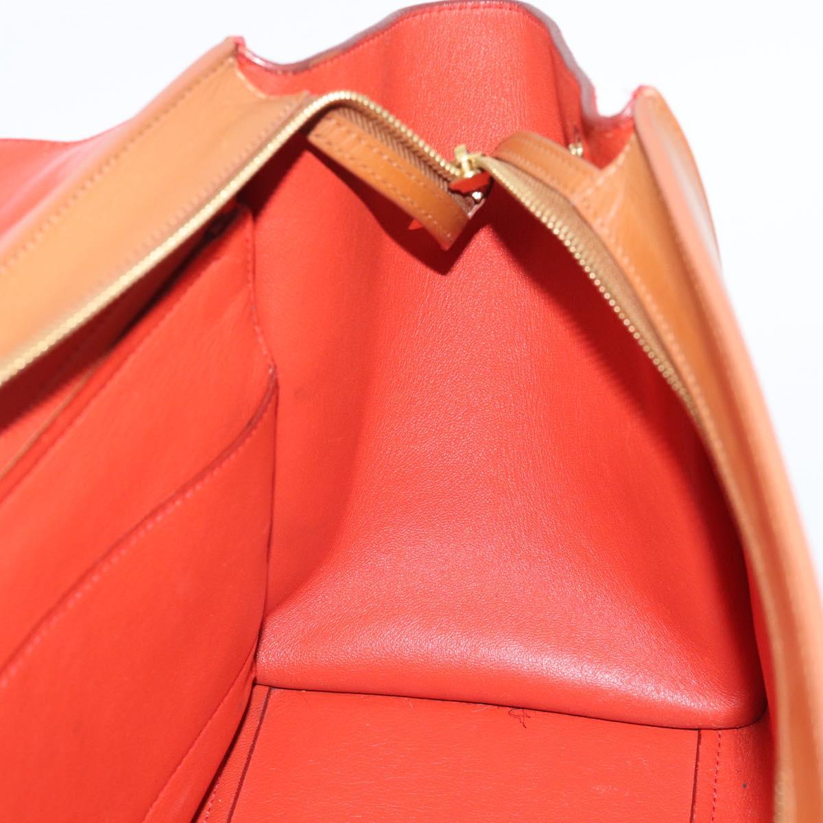 CELINE Trapeze Hand Bag Leather 2way Brown Gold Auth 189874A