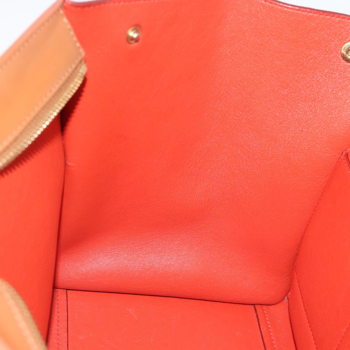 CELINE Trapeze Hand Bag Leather 2way Brown Gold Auth 189874A