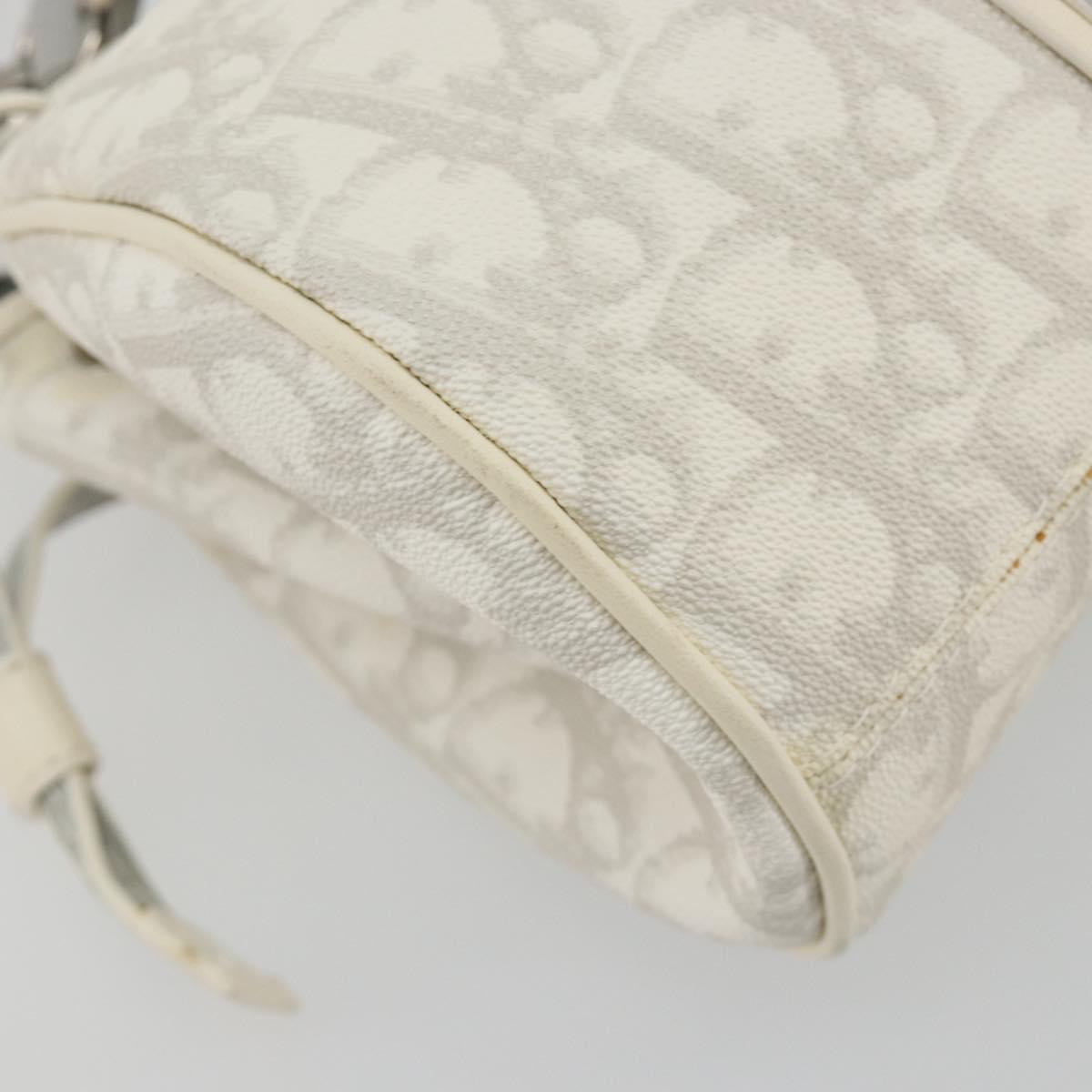 Christian Dior Trotter Canvas Romantic Chain Bag PVC White Silver Auth 190241SAM