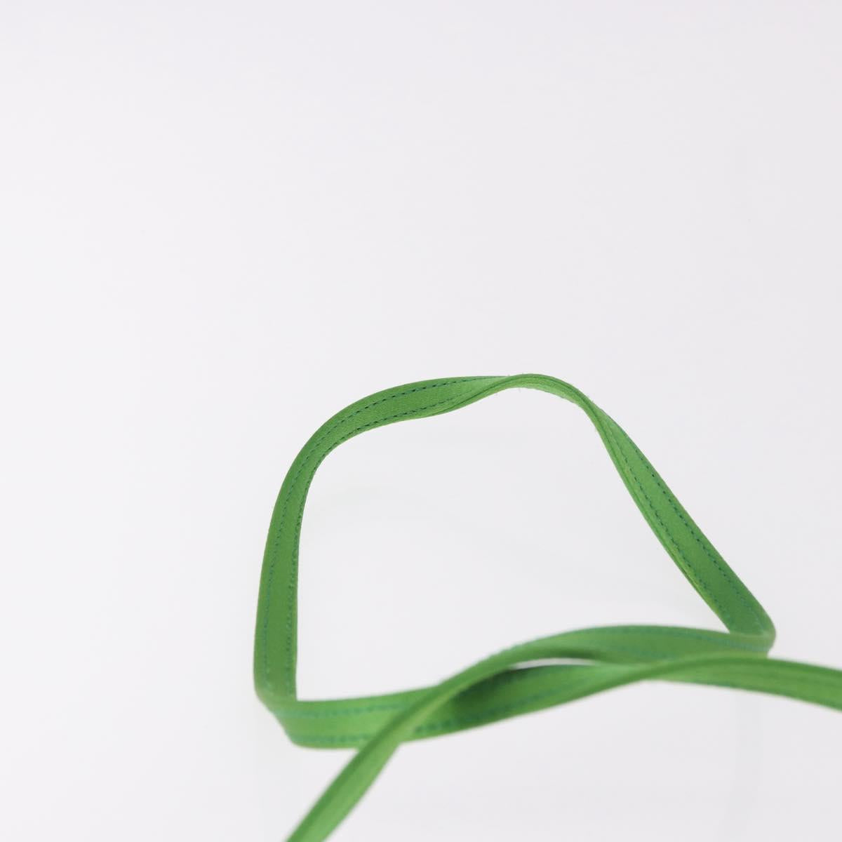 CELINE Shoulder Bag Satin Green Gold Auth 190325