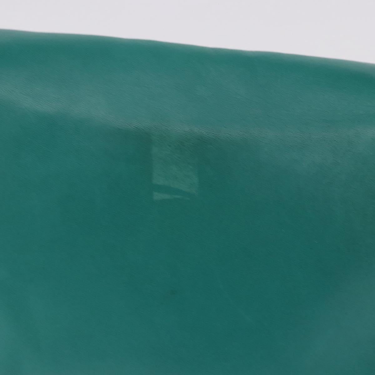 LOEWE Shoulder Bag Leather Green Gold Auth 190720A