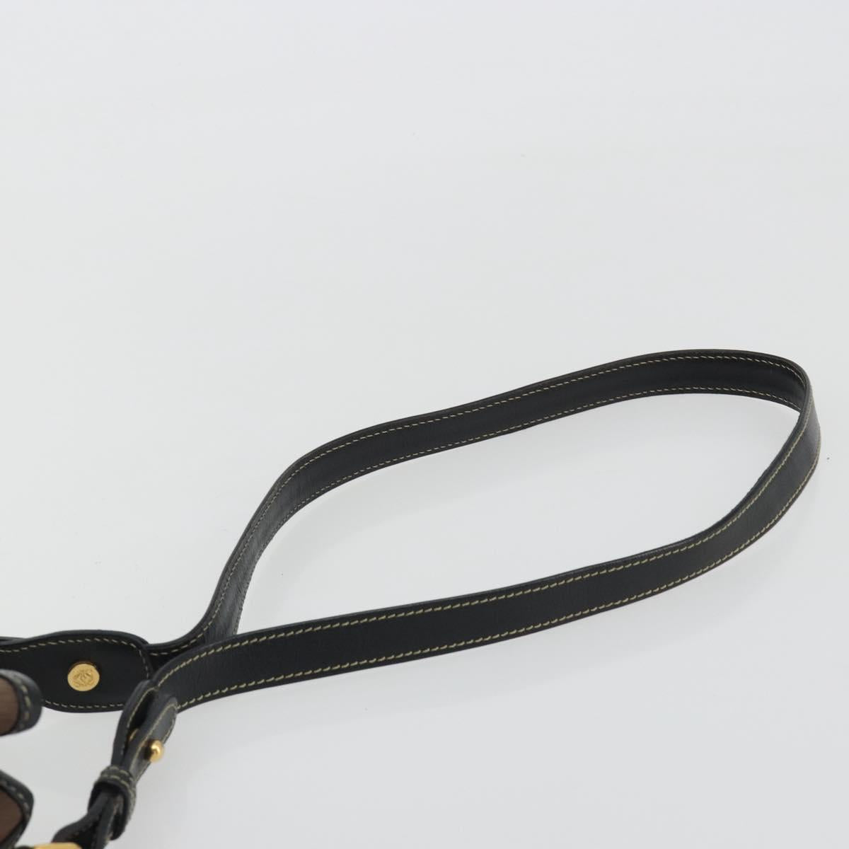LOEWE Velazquez Shoulder Bag Leather Brown Gold Auth 190849A