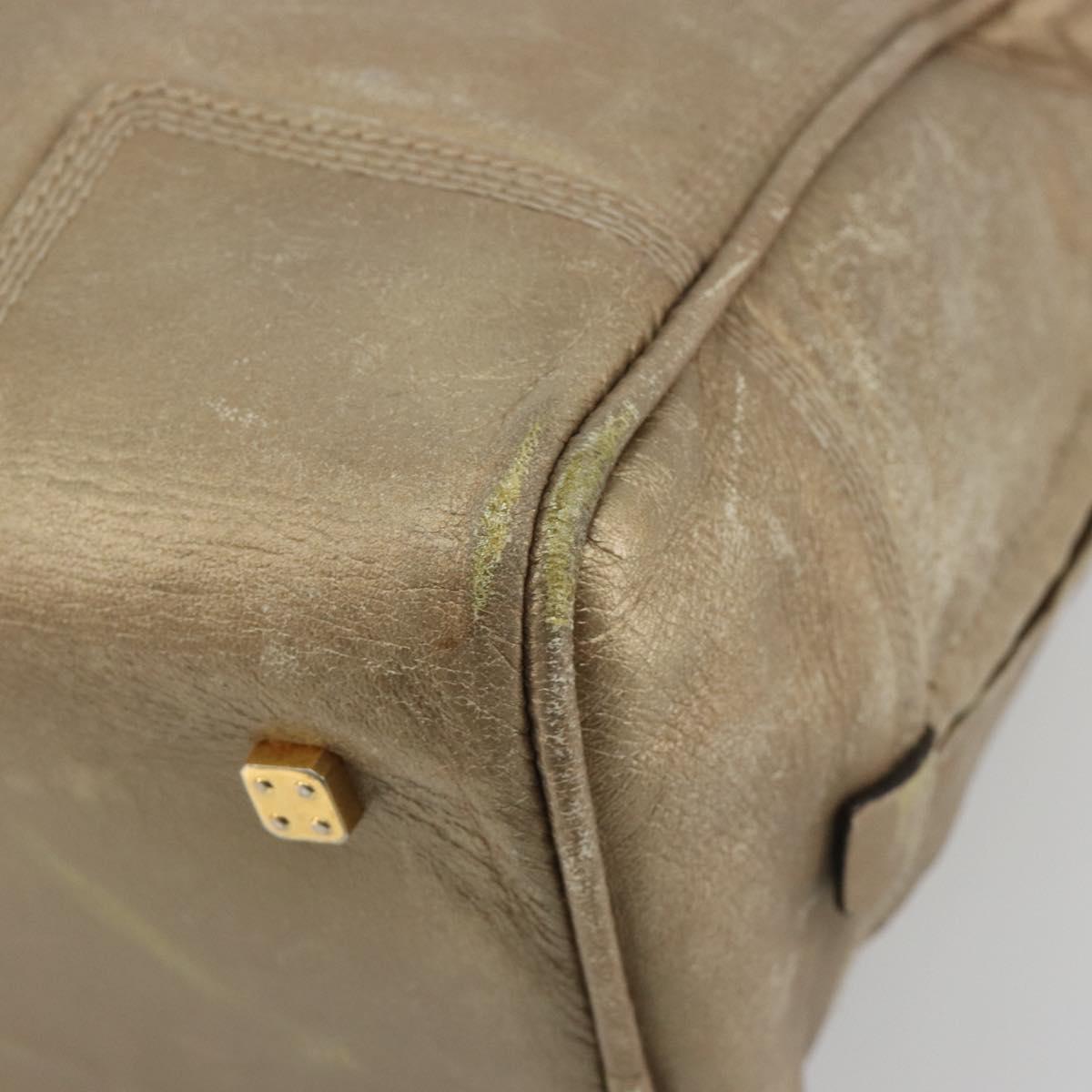 LOEWE Anagram Amazona 36 Hand Bag Leather Gold Auth 190941