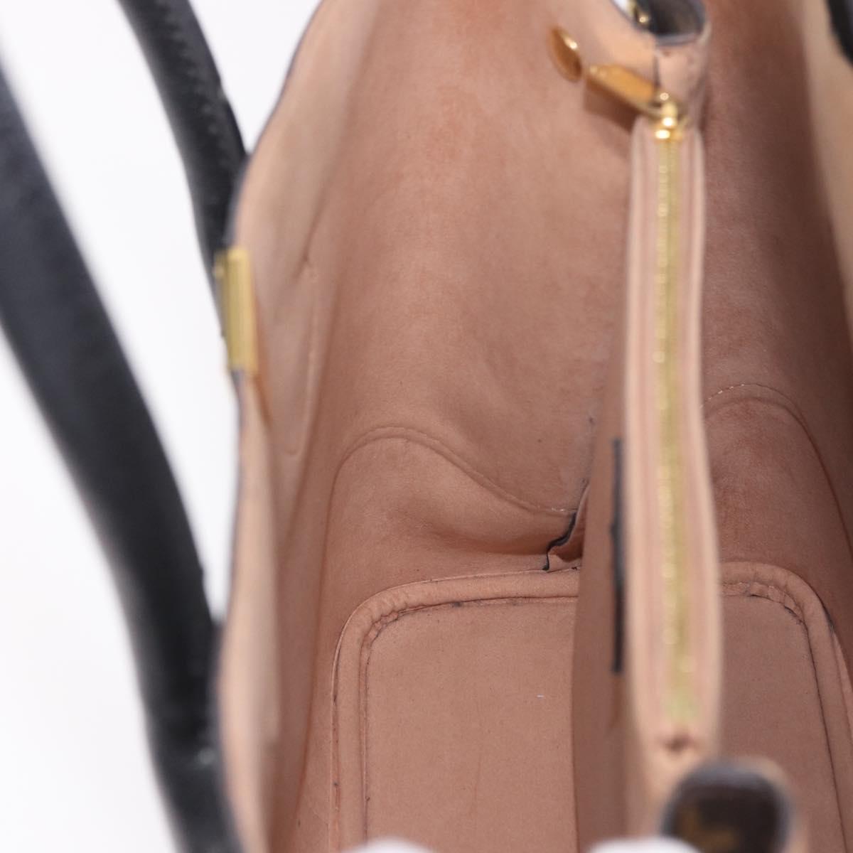 LOUIS VUITTON Monogram Flandrin Hand Bag Black M41595 LV Auth 190975A