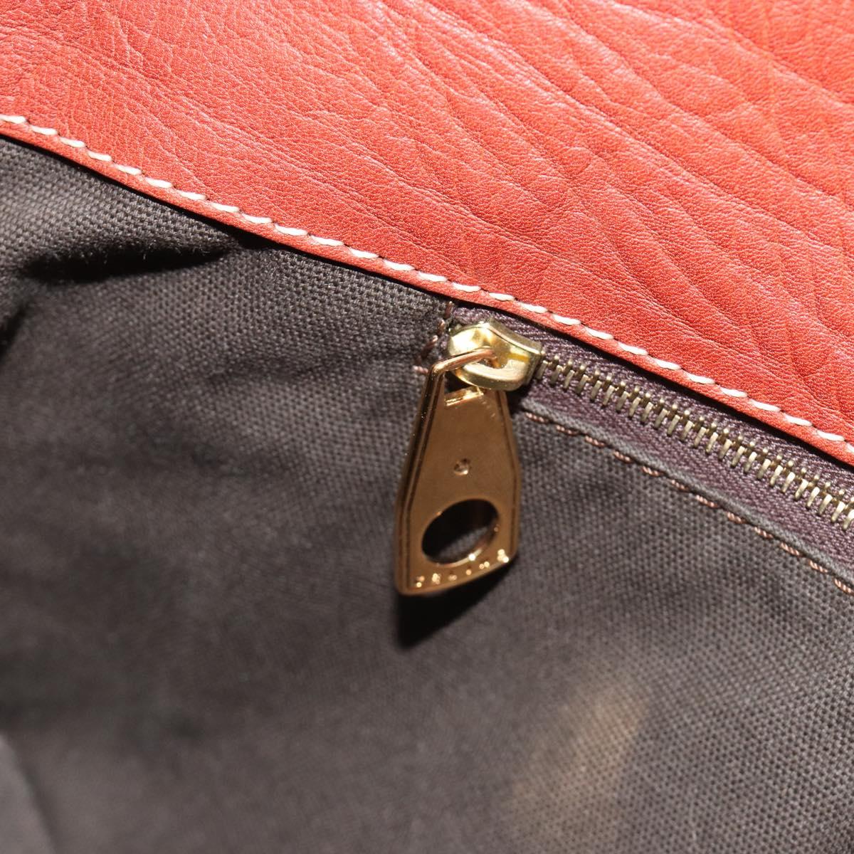 CELINE Shoulder Bag Leather Brown Gold Auth 191452V
