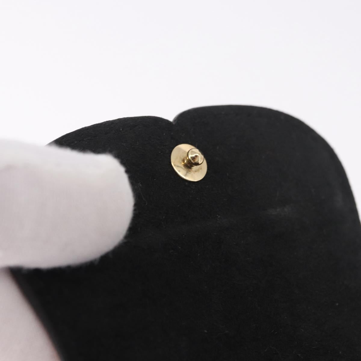 LOUIS VUITTON Monogram Etui Earphone Cat Airpods Pro Case GI0862 Auth 191604