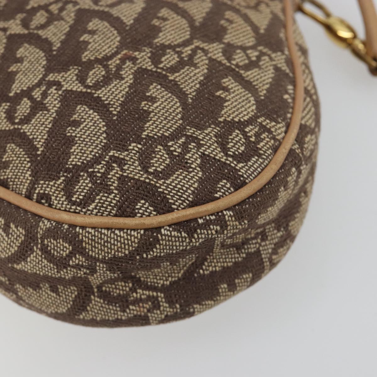Christian Dior Trotter Canvas Saddle Accessory Pouch Brown Gold Auth 192201A
