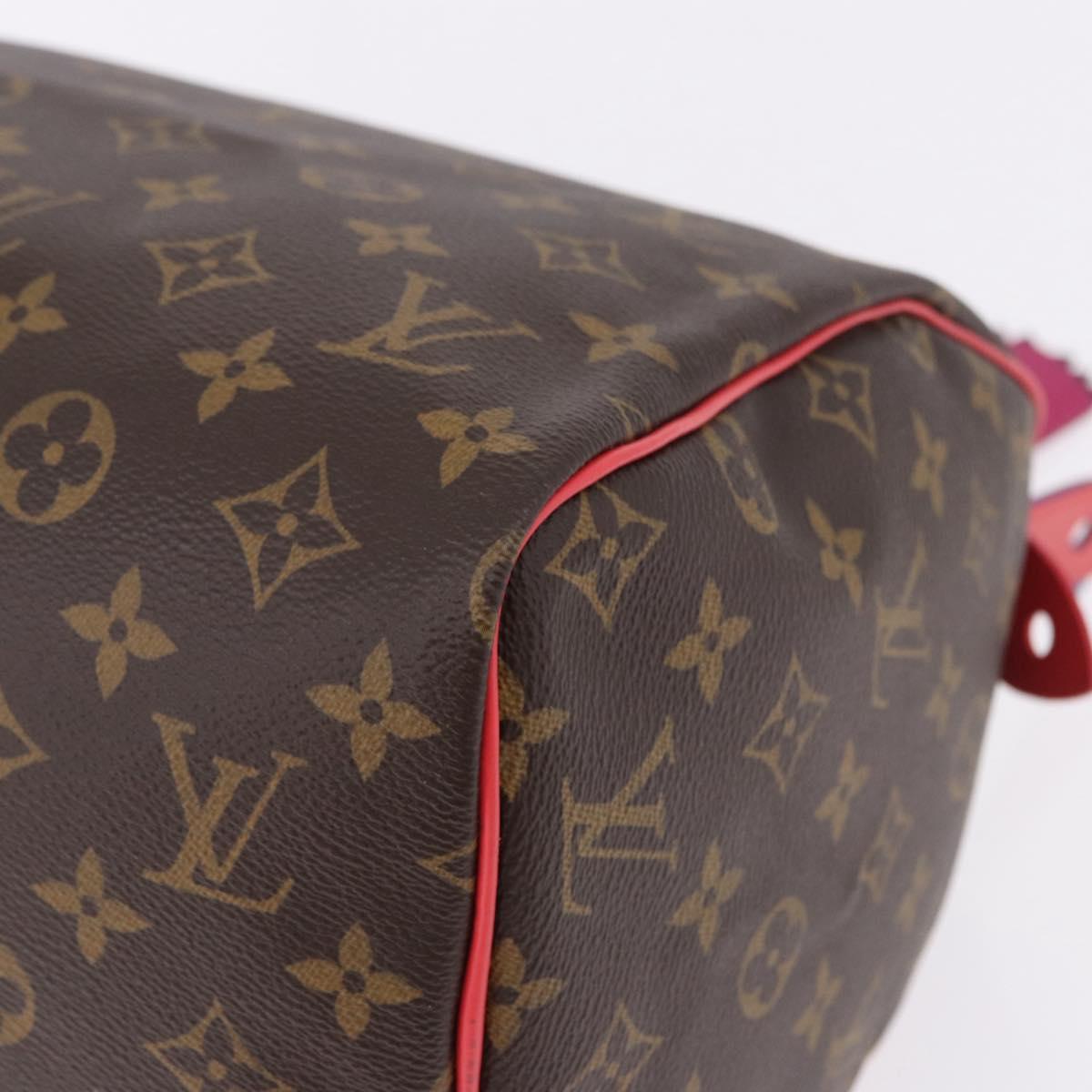 LOUIS VUITTON Monogram Totem Speedy 30 Hand Bag M41665 LV Auth 192431SV