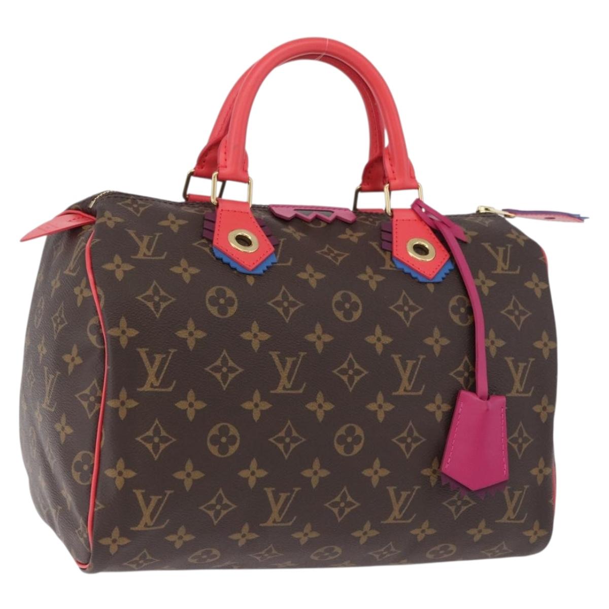 LOUIS VUITTON Monogram Totem Speedy 30 Hand Bag M41665 LV Auth 192431SV