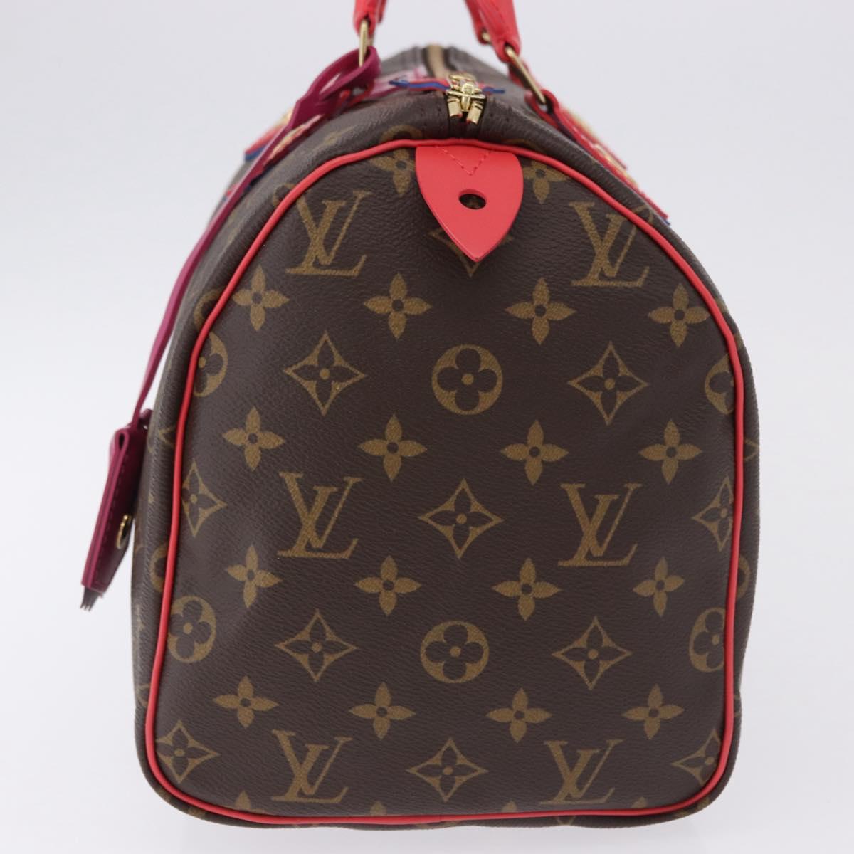 LOUIS VUITTON Monogram Totem Speedy 30 Hand Bag M41665 LV Auth 192431SV