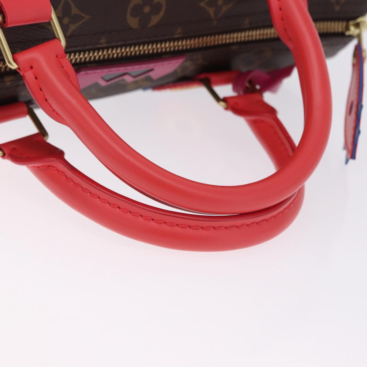 LOUIS VUITTON Monogram Totem Speedy 30 Hand Bag M41665 LV Auth 192431SV