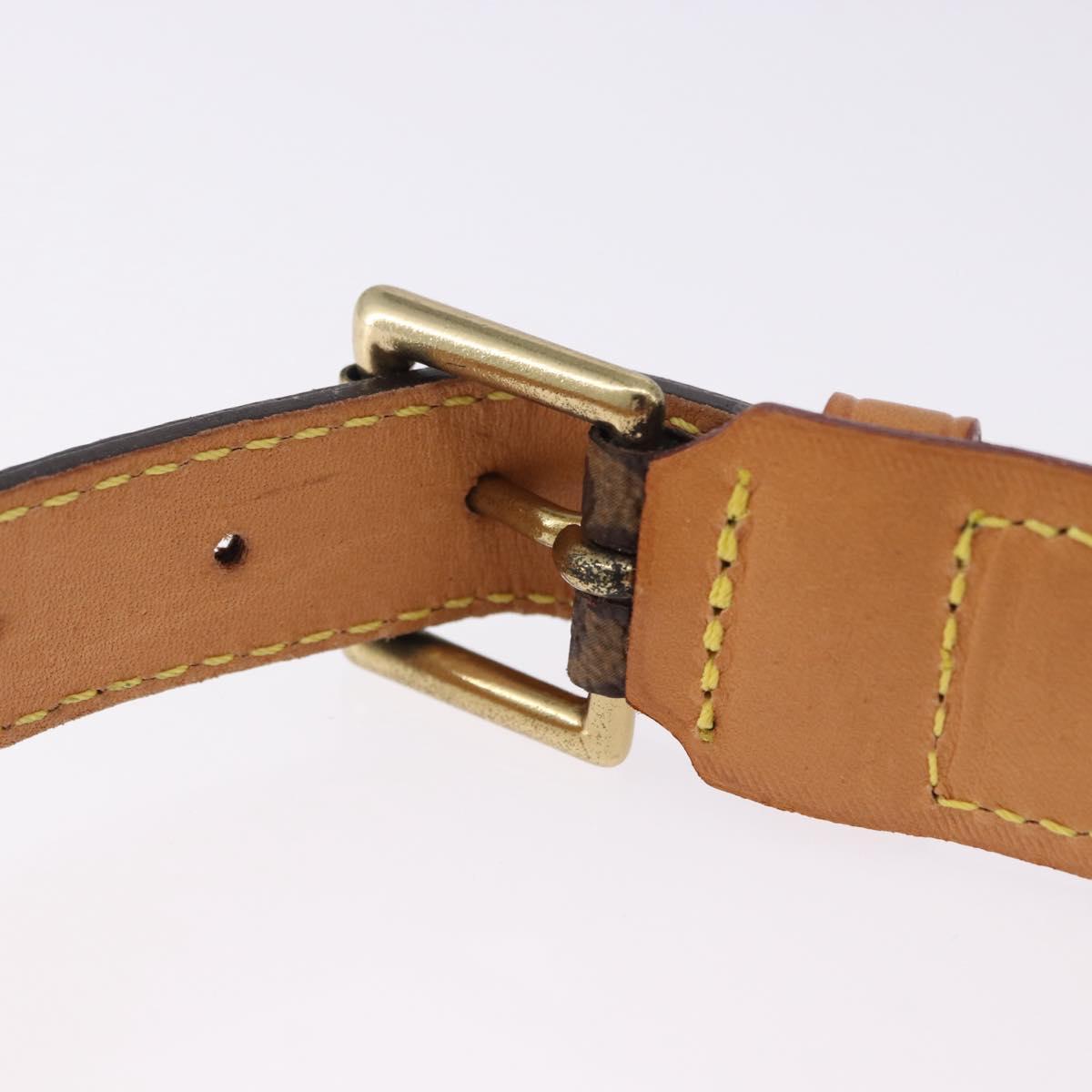 LOUIS VUITTON Monogram Cory Baxter MM Dog Leash M80340 LV Auth 192519