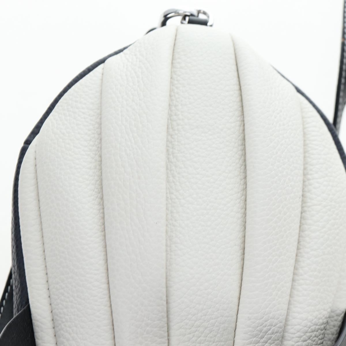 LOEWE Bag Leather Suna Fujita Collaboration Whale Navy Silver Auth 192644M