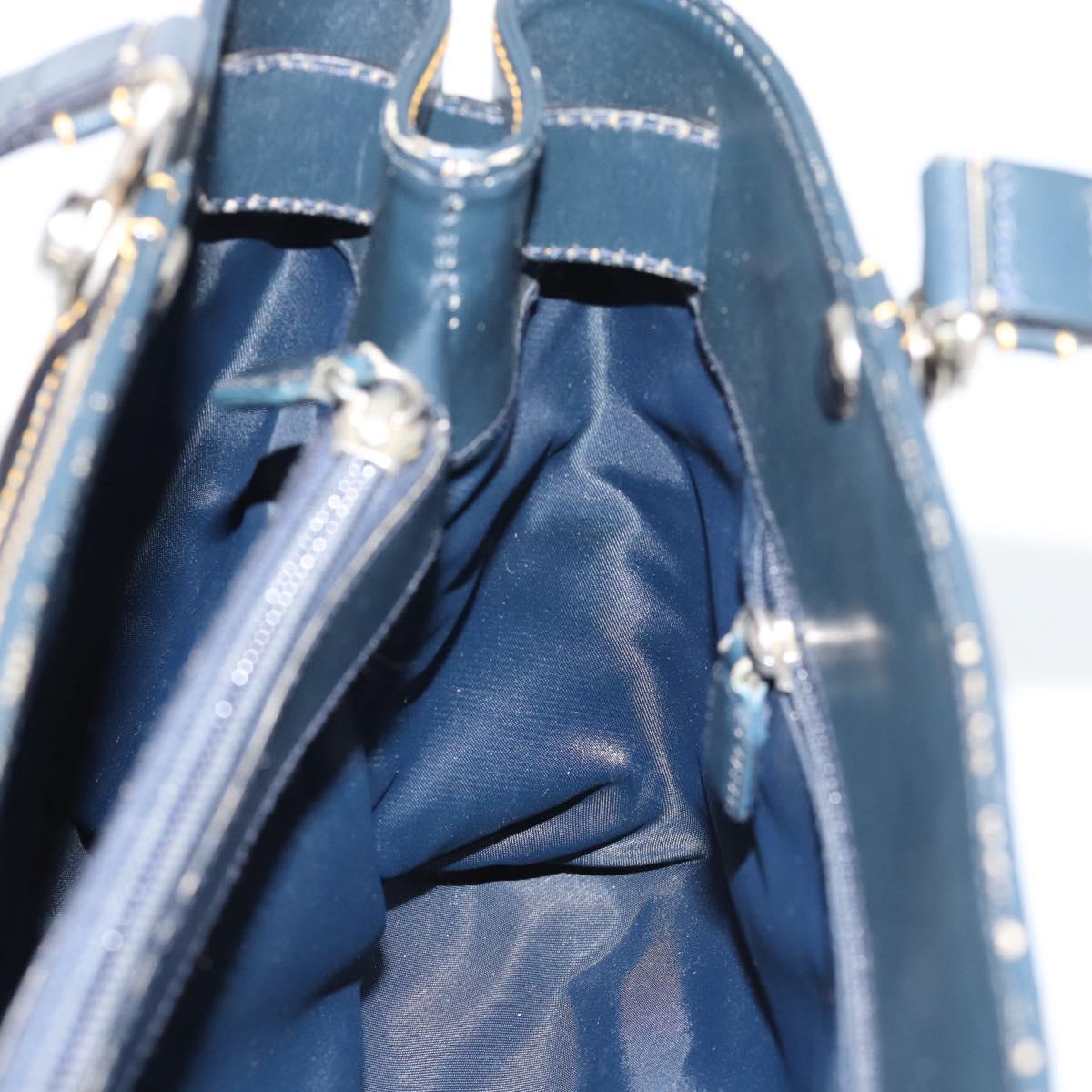 Christian Dior Trotter Canvas Hand Bag Navy Silver Auth 192691