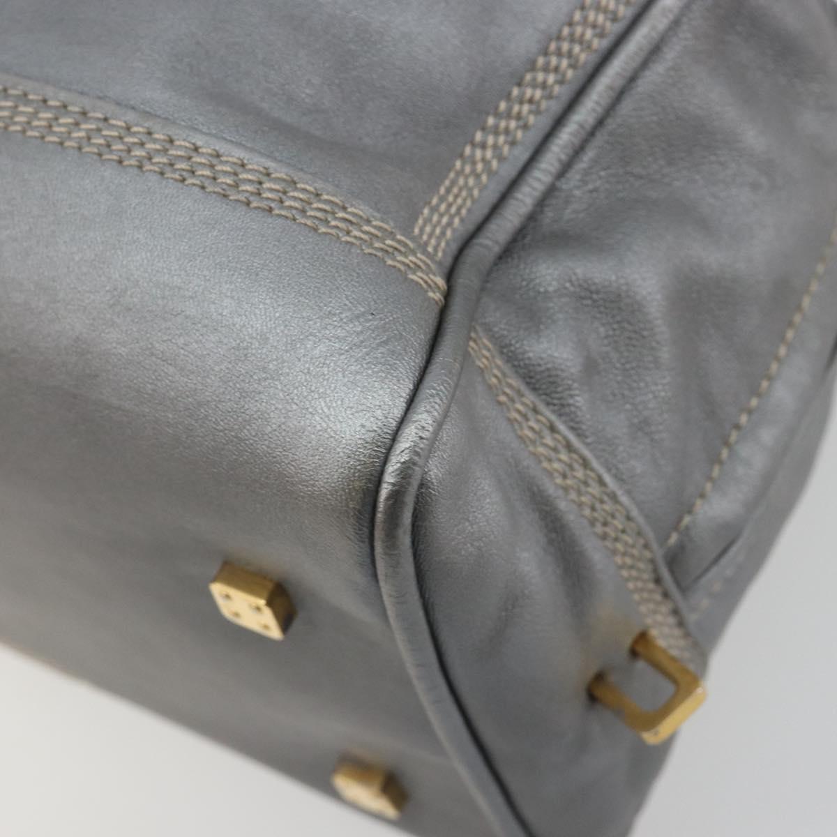 LOEWE Amazona 28 Hand Bag Leather Silver Gold Auth 193132V