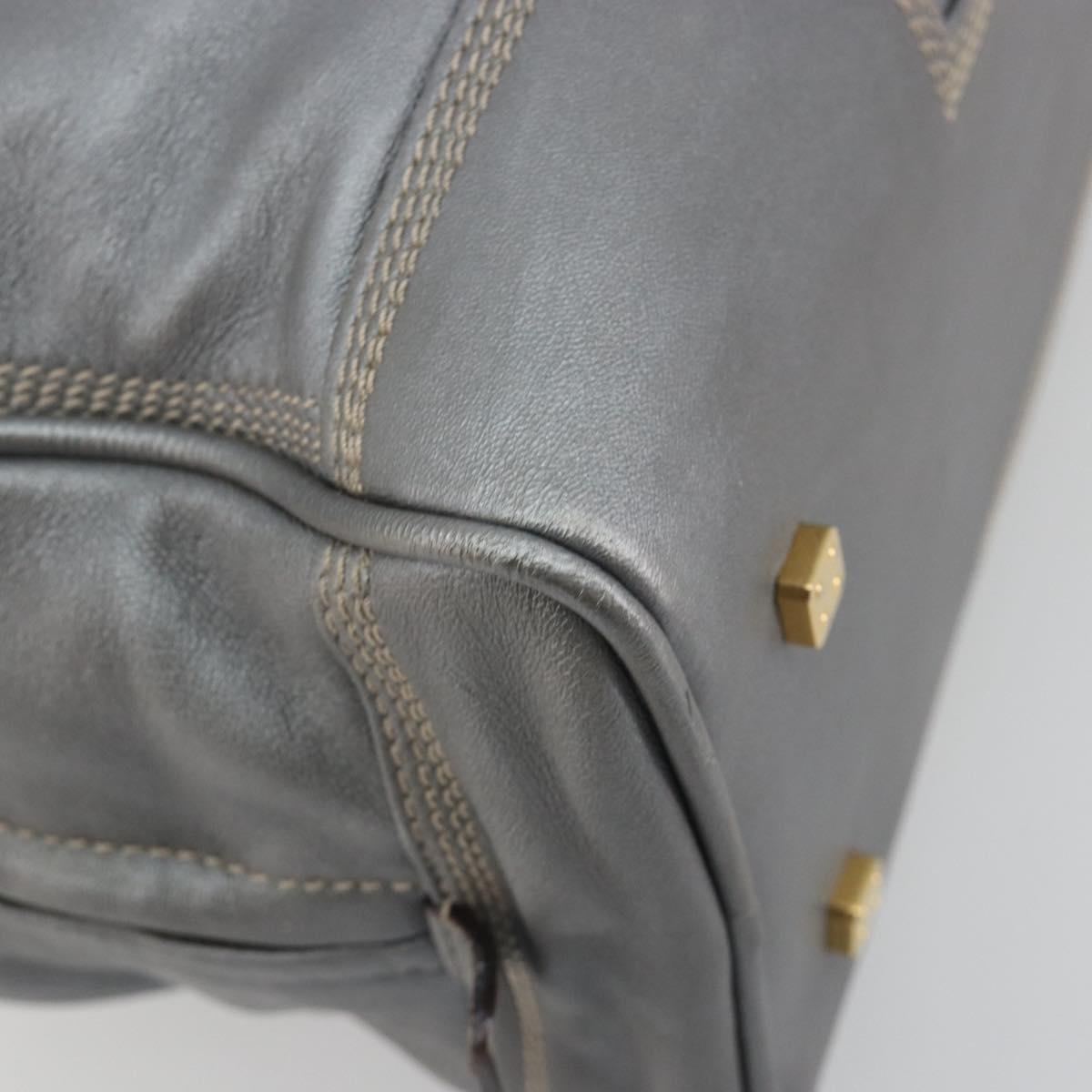 LOEWE Amazona 28 Hand Bag Leather Silver Gold Auth 193132V