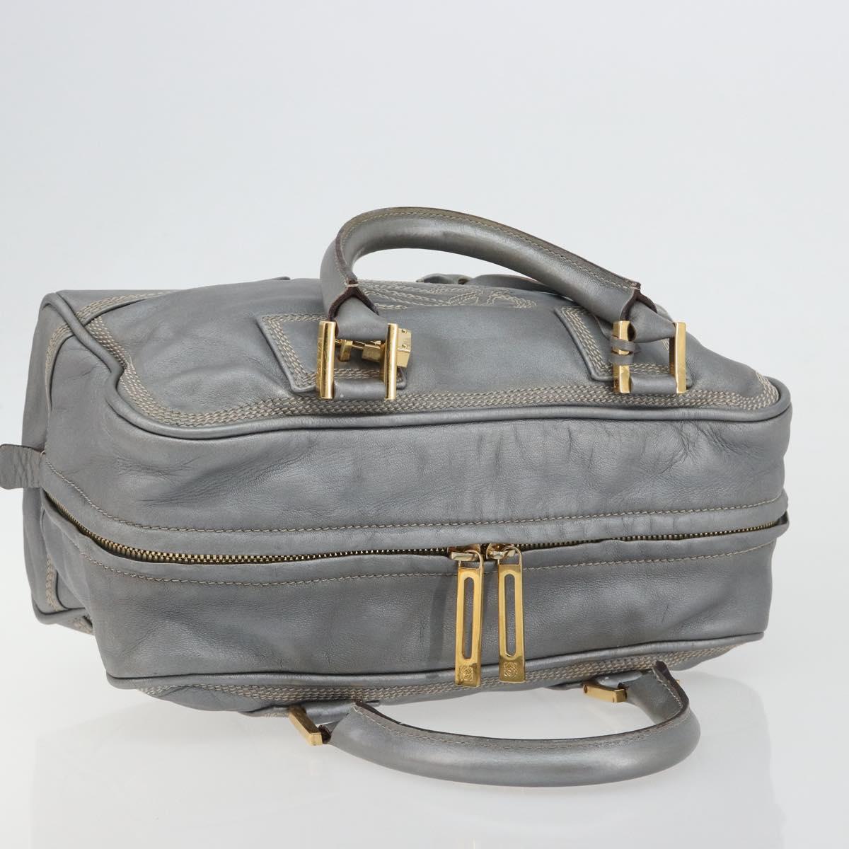 LOEWE Amazona 28 Hand Bag Leather Silver Gold Auth 193132V