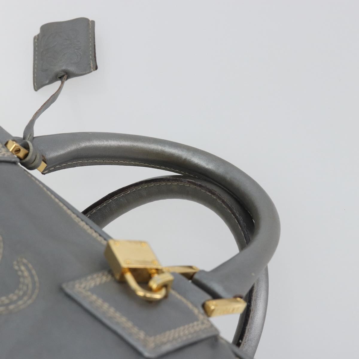LOEWE Amazona 28 Hand Bag Leather Silver Gold Auth 193132V