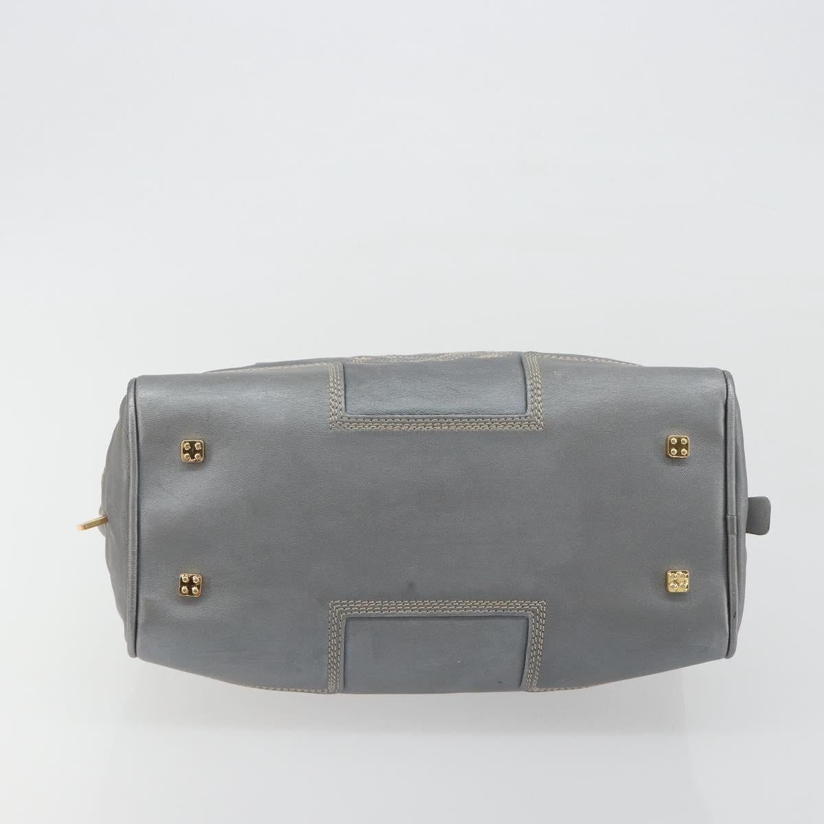 LOEWE Amazona 28 Hand Bag Leather Silver Gold Auth 193132V