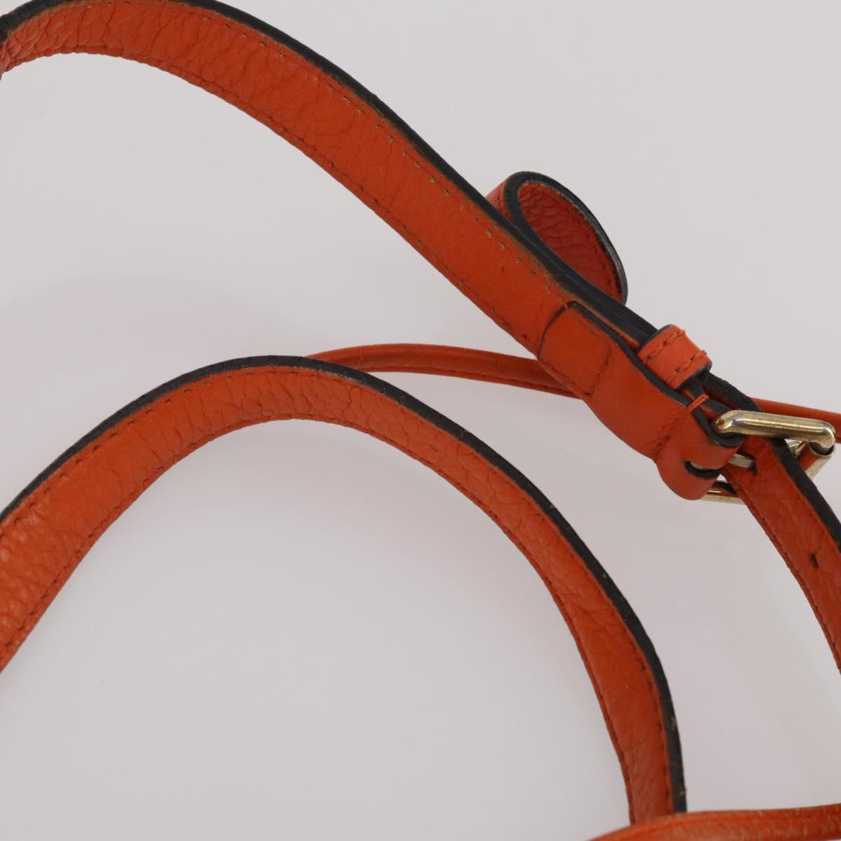 GUCCI GG Supreme GG Canvas Sherry Line Bag PVC 2 Set Beige Brown Auth 193488