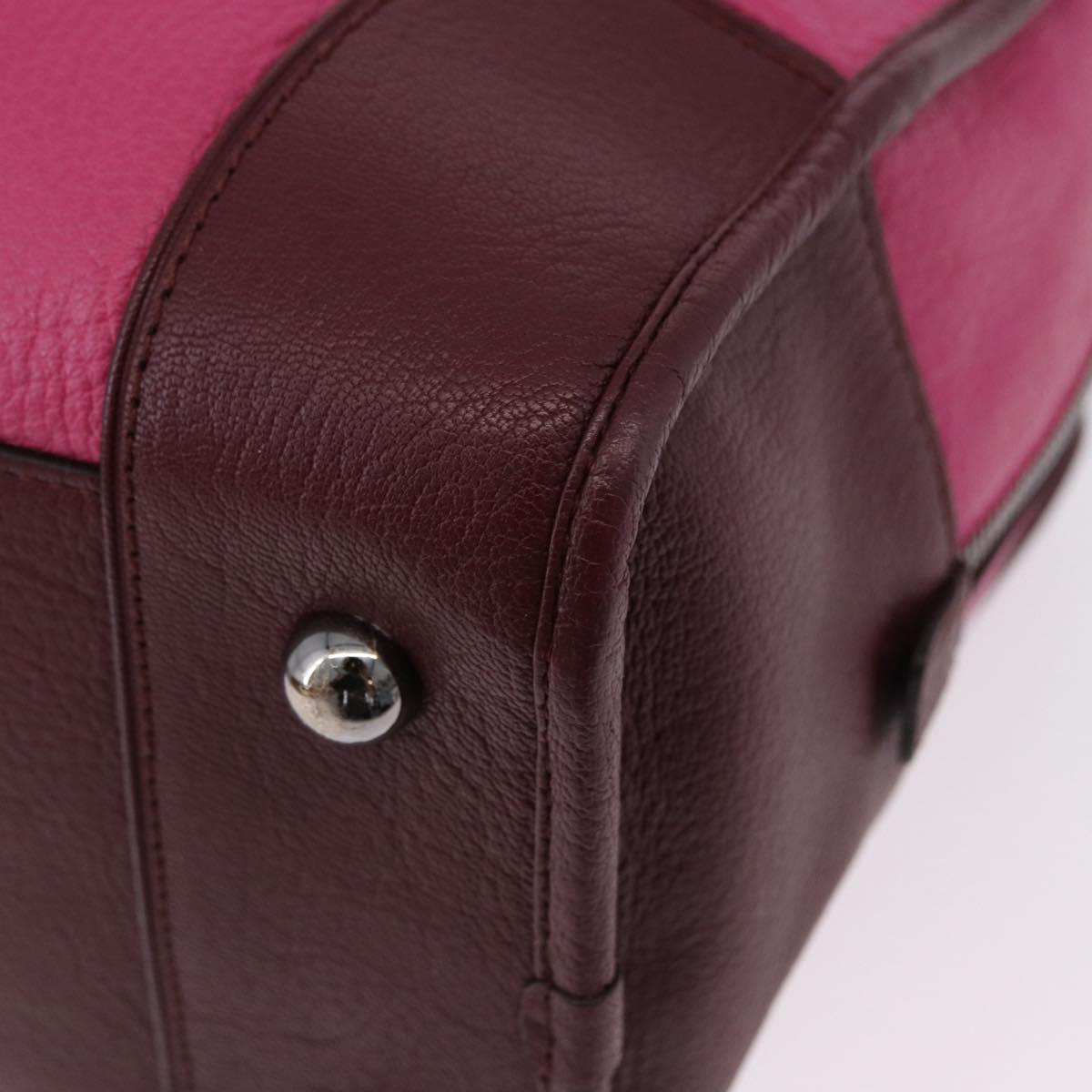 LOEWE Amazona 35 Hand Bag Leather Pink Silver Auth 193499V