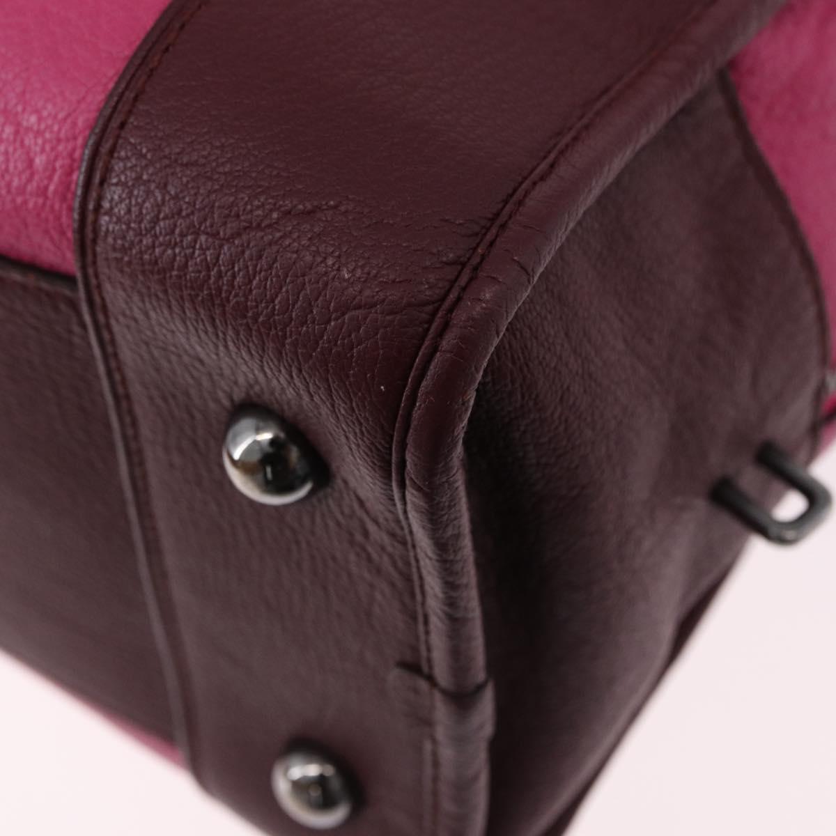 LOEWE Amazona 35 Hand Bag Leather Pink Silver Auth 193499V