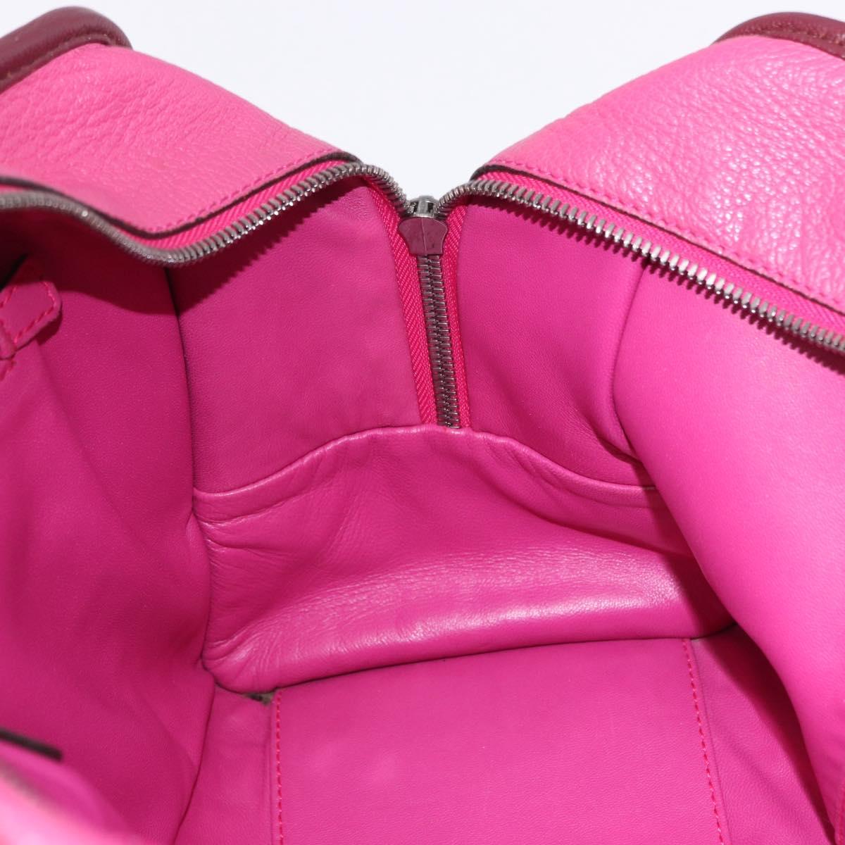 LOEWE Amazona 35 Hand Bag Leather Pink Silver Auth 193499V