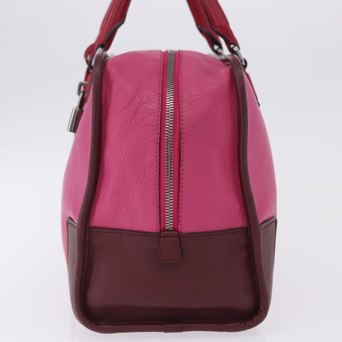 LOEWE Amazona 35 Hand Bag Leather Pink Silver Auth 193499V