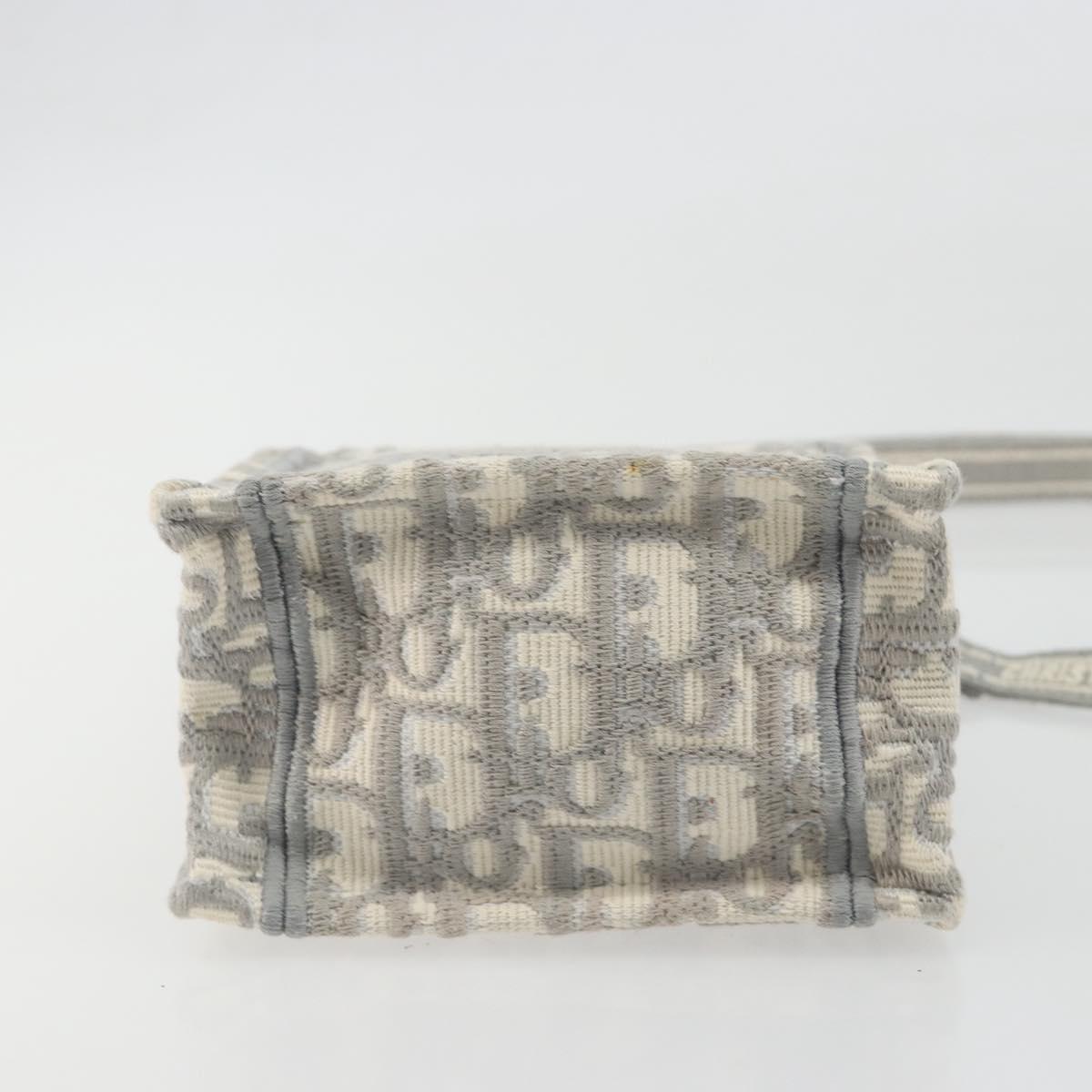 Christian Dior Trotter Canvas Book Tote Mini 2way Gray Gold Auth 193902