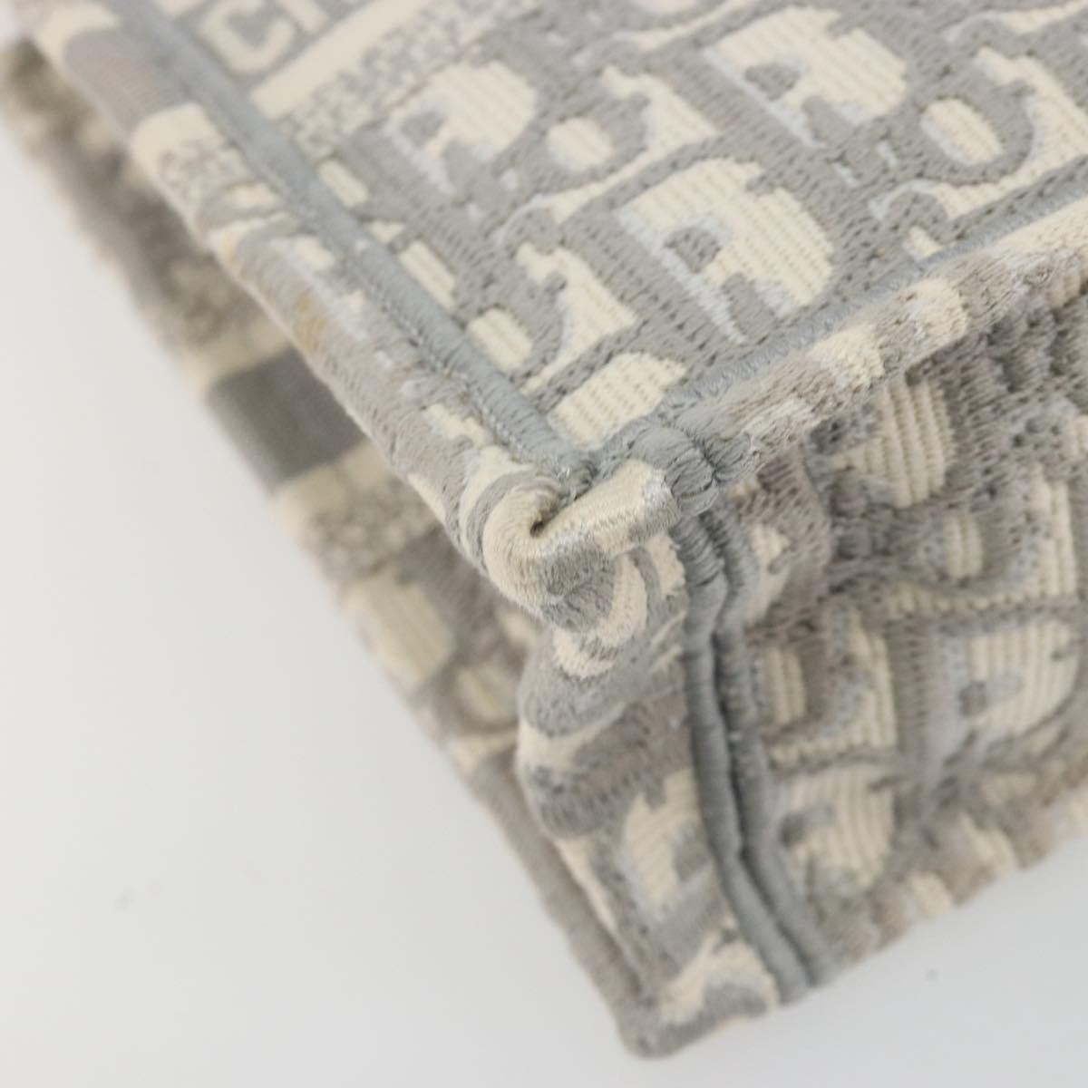 Christian Dior Trotter Canvas Book Tote Mini 2way Gray Gold Auth 193902