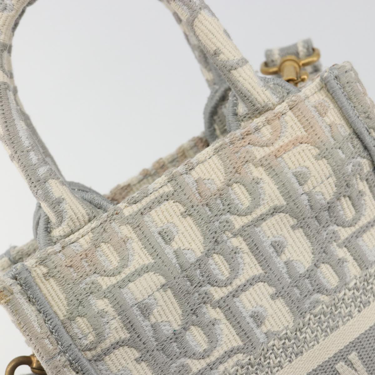 Christian Dior Trotter Canvas Book Tote Mini 2way Gray Gold Auth 193902