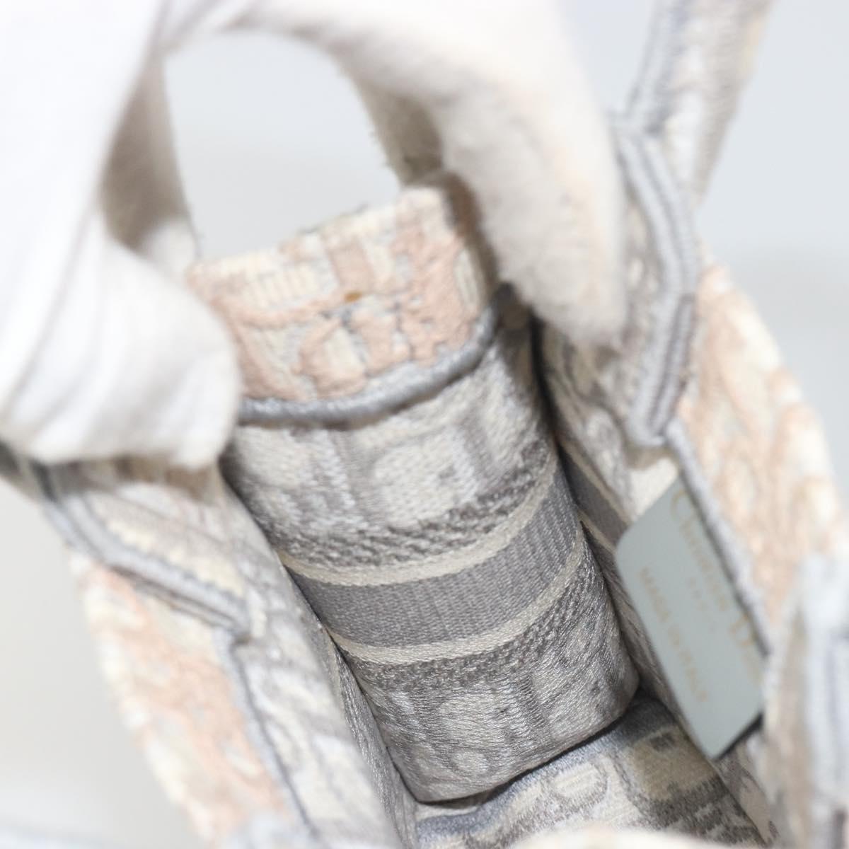 Christian Dior Trotter Canvas Book Tote Mini 2way Gray Gold Auth 193902