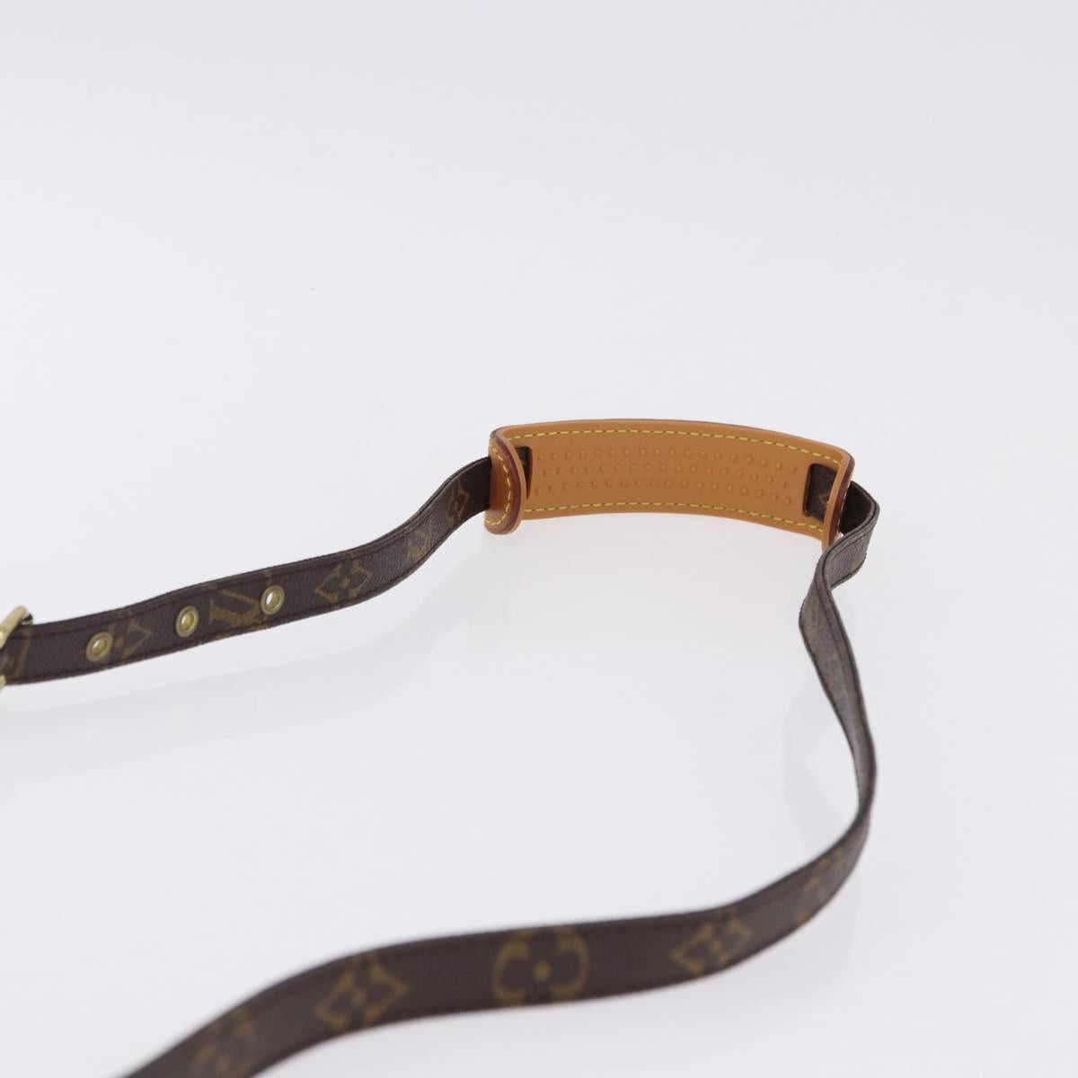 LOUIS VUITTON Monogram Danube Shoulder Bag M45266 LV Auth 194194A
