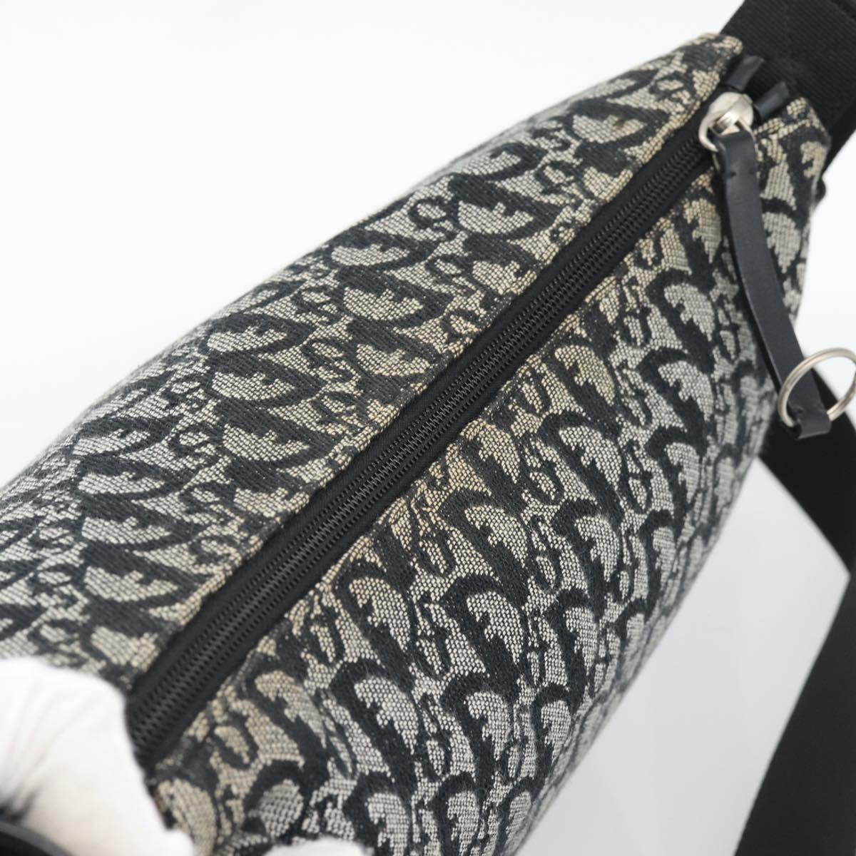 Christian Dior Trotter Canvas Shoulder Bag Gray Silver Auth 194858A