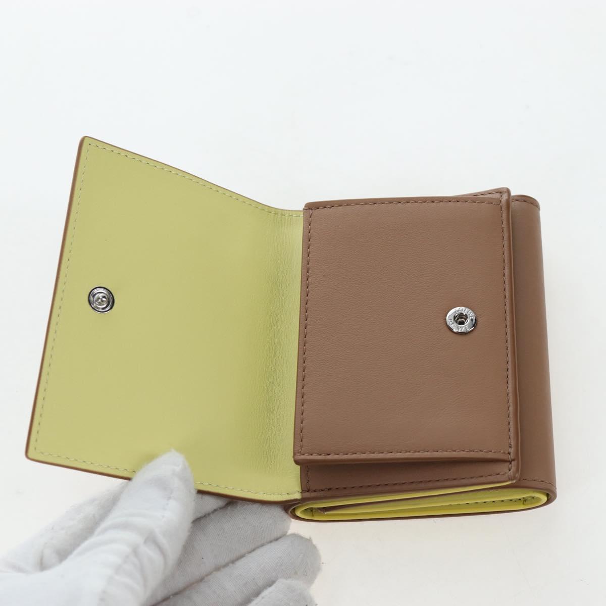 LOEWE Raccoon Trifold Wallet Leather Suna Fujita Brown Silver Auth 195312M