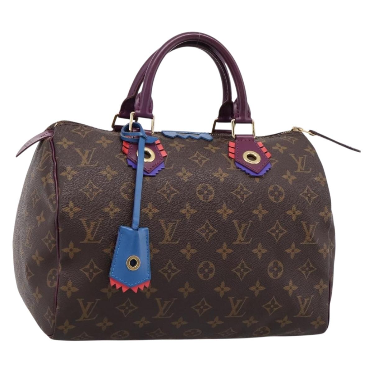 LOUIS VUITTON Monogram Totem Speedy 30 Hand Bag M41666 LV Auth 195541SM