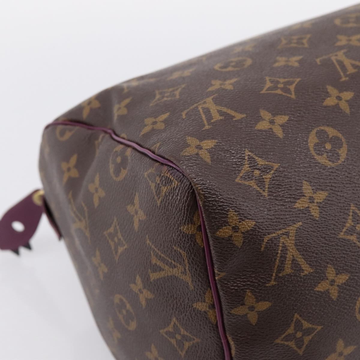 LOUIS VUITTON Monogram Totem Speedy 30 Hand Bag M41666 LV Auth 195541SM