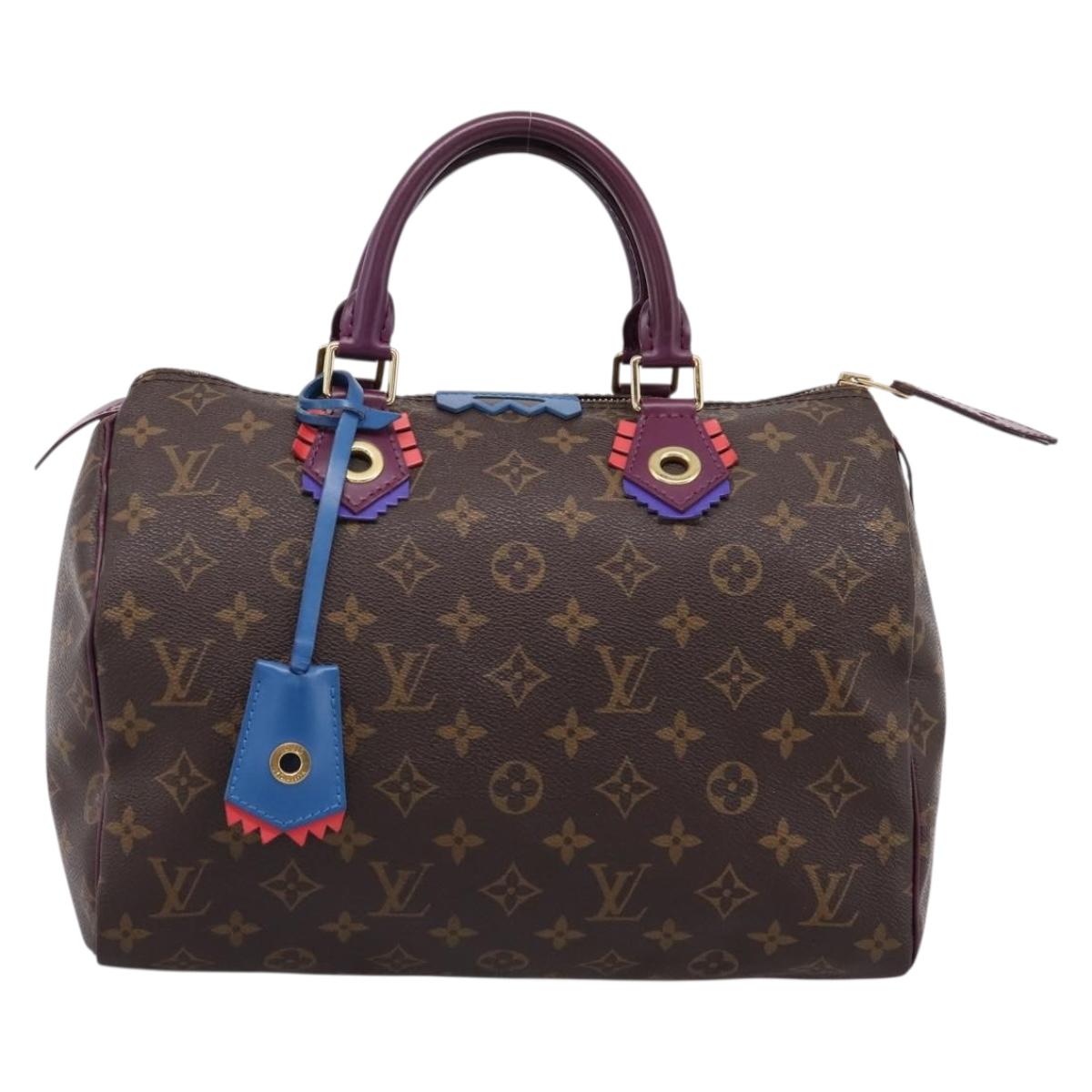 LOUIS VUITTON Monogram Totem Speedy 30 Hand Bag M41666 LV Auth 195541SM