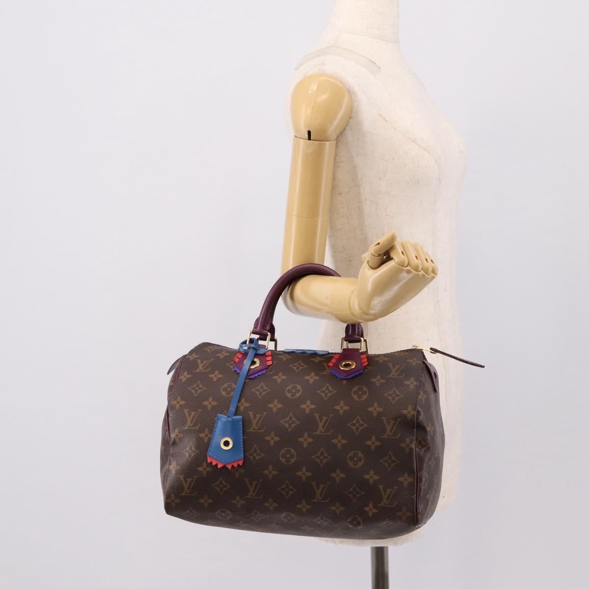 LOUIS VUITTON Monogram Totem Speedy 30 Hand Bag M41666 LV Auth 195541SM
