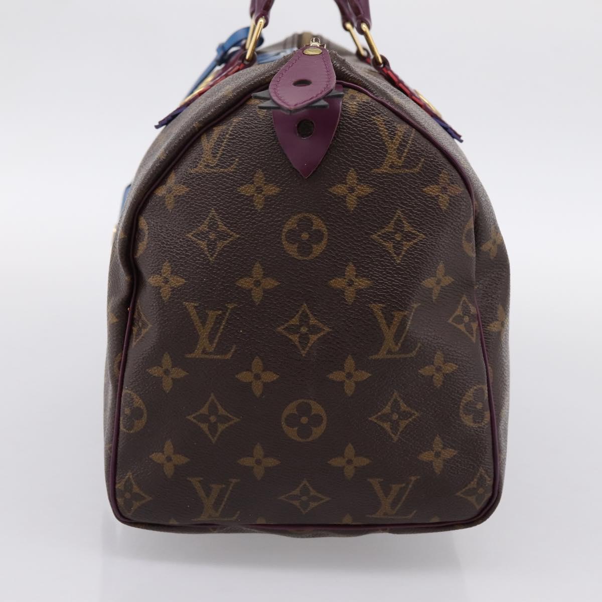 LOUIS VUITTON Monogram Totem Speedy 30 Hand Bag M41666 LV Auth 195541SM