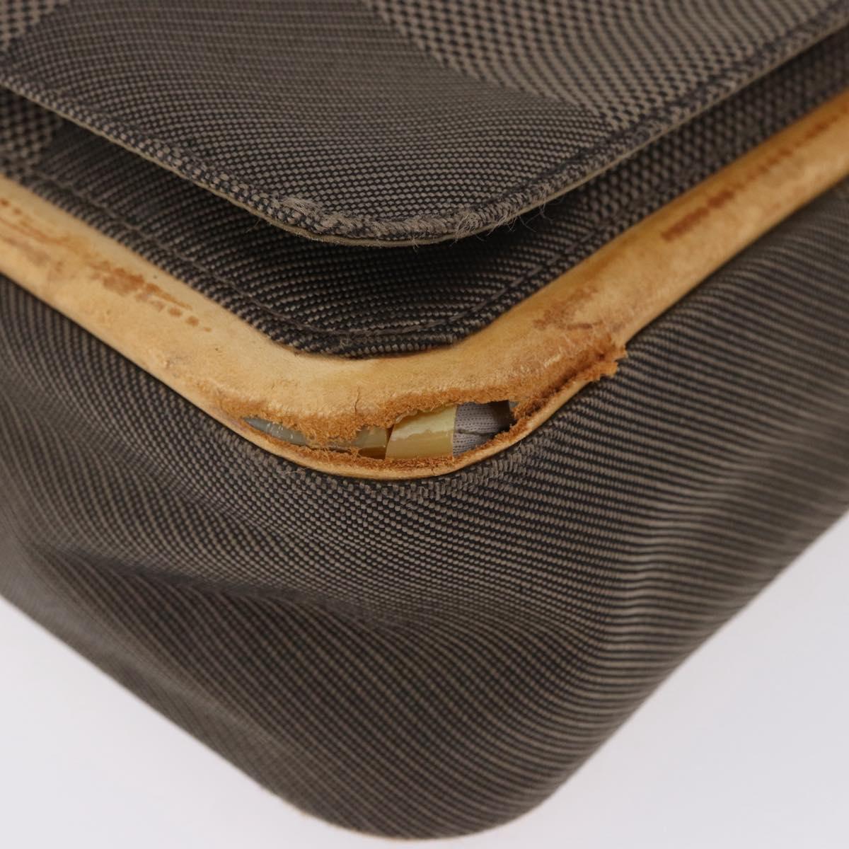 LOUIS VUITTON Damier Geant Messager Shoulder Bag Tail M93030 LV Auth 195666