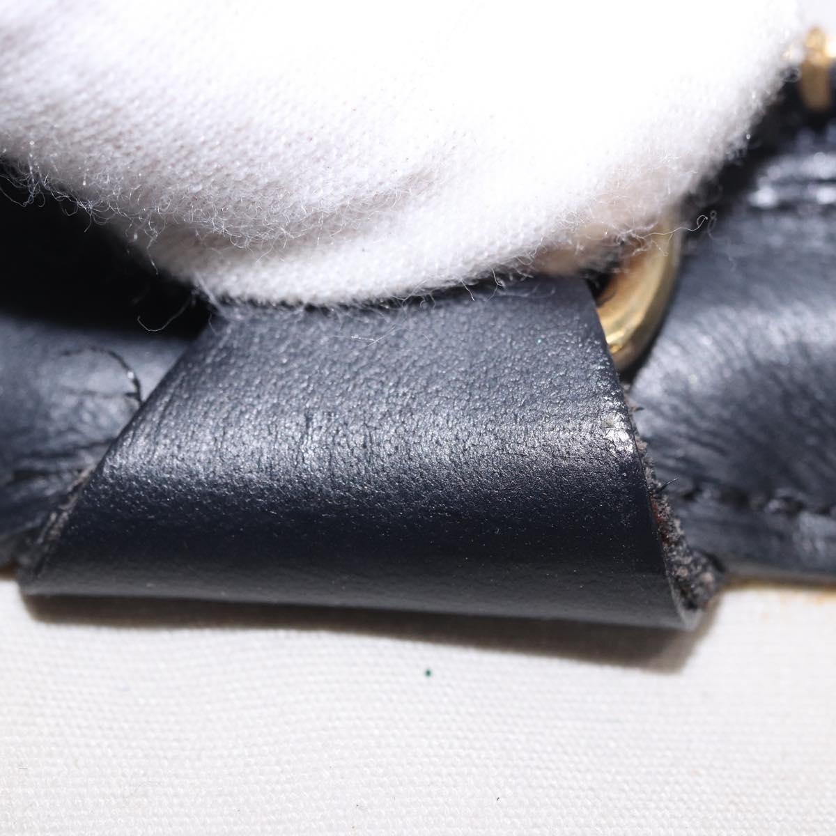 LOUIS VUITTON Monogram Mini Josephine PM Hand Bag Blue M92049 LV Auth 195685