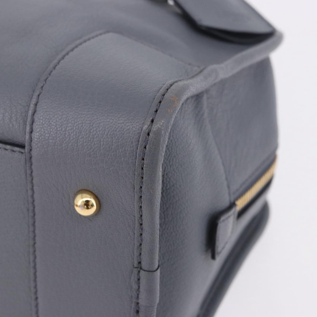 LOEWE Amazona 28 Hand Bag Leather Gray Gold Auth 195962M