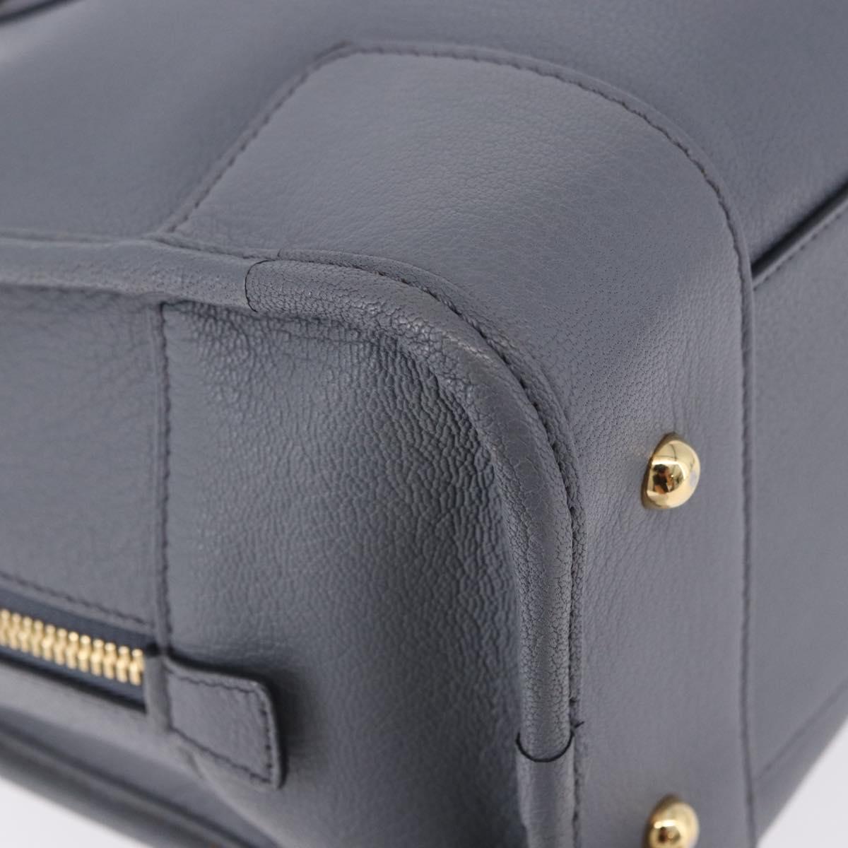 LOEWE Amazona 28 Hand Bag Leather Gray Gold Auth 195962M