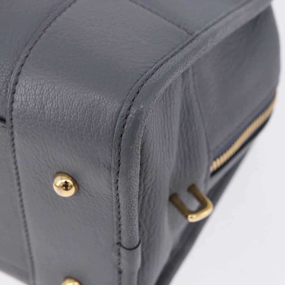 LOEWE Amazona 28 Hand Bag Leather Gray Gold Auth 195962M