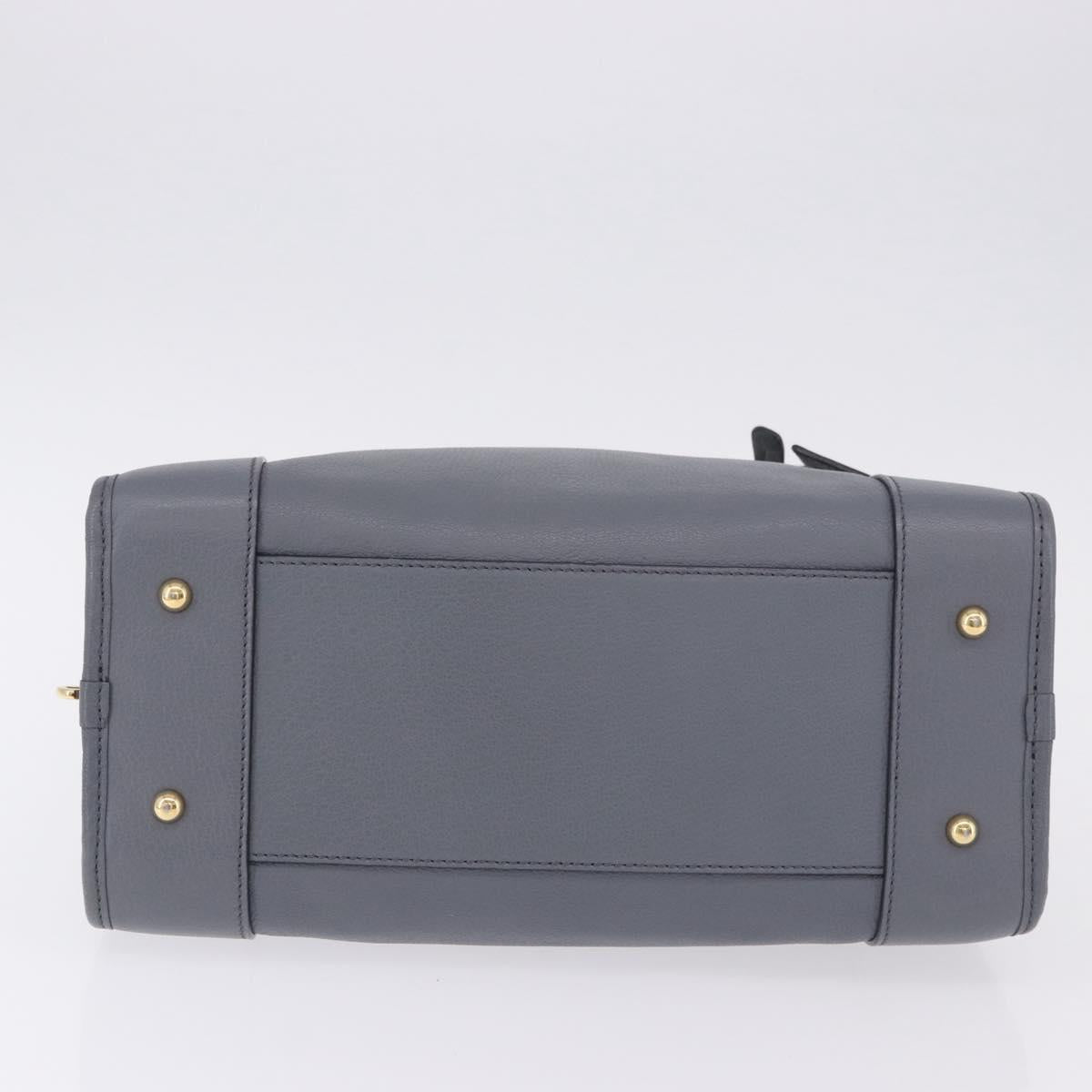 LOEWE Amazona 28 Hand Bag Leather Gray Gold Auth 195962M