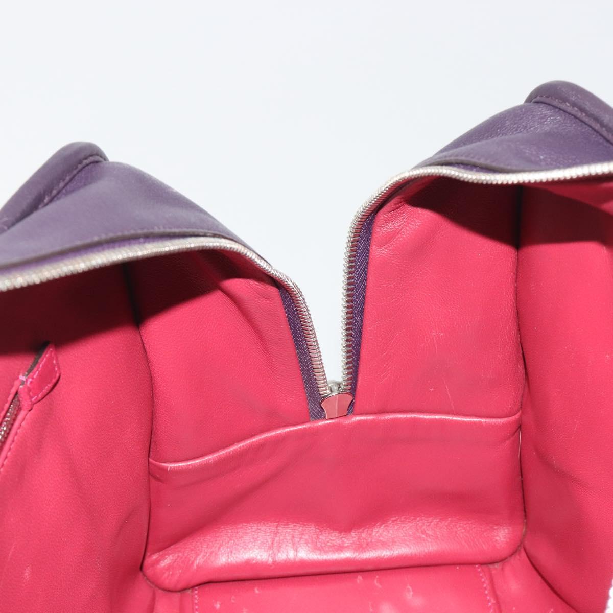 LOEWE Amazona 36 Hand Bag Leather Purple Silver Auth 195986A